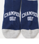 チャンピオン（CHAMPION）ゴルフ ソックス CW-AG703S 370