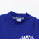 チャンピオン（CHAMPION）ゴルフウェア 速乾 抗菌防臭 半袖モックネック スウェット C3-BG003 340