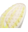 アディダス（adidas）ゴルフシューズ アディゼロ ゼッドジー ZG 25 BOA ボア ダイヤル式 W IH9894OWHT