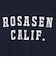 ROSASENゴルフウェア 吸水速乾 抗菌防臭 ソロナ天竺 半袖モックネックシャツ 044-23241-25SS-098