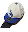 ニューエラ（NEW ERA）ヘッドカバー フェアウェイウッド用 ロサンゼルス・ドジャース 14393710