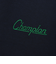 チャンピオン（CHAMPION）ゴルフウェア 長袖 フルジップ スウェットシャツ TECH WEAVE 3LS LIGHT CW-BG101 370