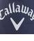 キャロウェイ（CALLAWAY）ゴルフ アイスバック型氷嚢 C25298121-1120
