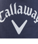 キャロウェイ（CALLAWAY）ゴルフ アイスバック型氷嚢 C25298121-1120