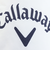 キャロウェイ（CALLAWAY）ゴルフ アイスバック型氷嚢 C25298121-1030