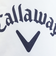 キャロウェイ（CALLAWAY）ゴルフ アイスバック型氷嚢 C25298121-1030