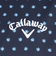 キャロウェイ（CALLAWAY）ゴルフウェア ミニフラワープリント ハイゲージ鹿の子半袖シャツ C25234102-1120