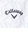 キャロウェイ（CALLAWAY）ゴルフウェア 半袖 吸汗速乾 ロゴプリントハイゲージカノコシャツ C25234103-1030
