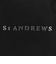 セントアンドリュース（ST.ANDREWS）ゴルフ 定番 カートバッグ 042-5981352-010