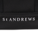 セントアンドリュース（ST.ANDREWS）ゴルフ 保冷バッグ 042-5981353-010