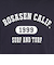 ROSASEN（ROSASEN）ゴルフウェア 吸水速乾 ストレッチ カノコインレー 半袖モックネック 044-22741-098-24AW