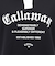 キャロウェイ（CALLAWAY）ゴルフウェア 半袖 スウェット ポロシャツ C25217201-1010
