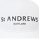 セントアンドリュース（ST.ANDREWS）ゴルフ 撥水 TCツイル ロゴキャップ 042-5287853-030