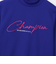 チャンピオン（CHAMPION）ゴルフウェア ロングスリーブモックネックシャツ CW-CG404 340