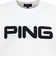 ピン（PING）ゴルフウェア カラークルーネックニット 621-5270903-030