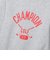 チャンピオン（CHAMPION）ゴルフウェア テックウィーブ テリー フーデッドスウェットシャツ C3-CG101 070