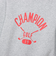 チャンピオン（CHAMPION）ゴルフウェア テックウィーブ テリー フーデッドスウェットシャツ C3-CG101 070