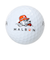 本間ゴルフ（HONMA）ゴルフボール BT2551 MALBON WH ダース(12個入り)