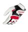 テーラーメイド（TAYLORMADE）左手用 インタークロス 7.0 グローブ M24604-TL931