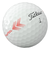 タイトリスト（TITLEIST）TRUFEEL AIM360 ゴルフボール T6036S-AIM-J-2 ダース(12個入り)