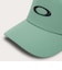 オークリー（OAKLEY）ゴルフ TAKE PRO SNAPBACK キャップ FOS902094-75I