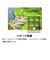 ゴルフ PLAYER GPS SpeakNV