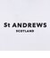 セントアンドリュース（ST.ANDREWS）モックネック ゴルフ メンズ ポップコーンジャージ 半袖ハイネック 042-6167551-030