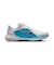 ナイキ（NIKE）ゴルフシューズ ペガサス 1 G HV4700-102