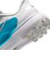 ナイキ（NIKE）ゴルフシューズ ペガサス 1 G HV4700-102
