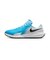 ナイキ（NIKE）ゴルフシューズ インフィニティ G NN FN0555-400