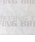ブリーフィング（BRIEFING）SHADOW LOGO JQ アイスパック BRG261F09-000