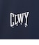 キャロウェイ（CALLAWAY）ゴルフウェア ビッグカノコ 長袖ポロシャツ C26233100-1120