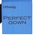 ゴルフ トレーニング器具 Perfect Down