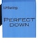 ゴルフ トレーニング器具 Perfect Down