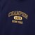 チャンピオン（CHAMPION）ゴルフウェア ロングスリーブモックネックシャツ CW-EG403 370