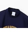 チャンピオン（CHAMPION）ゴルフウェア ロングスリーブモックネックシャツ CW-EG403 370