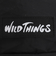 ワイルドシングス（WILD THINGS）貴重品 薬 鍵 携帯入れに便利 軽量 小型 ウエスト バッグ ポーチ WT-380-0075-01 ブラック