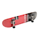 スケーター（SKATER）スケートボード スケボー 完成品 コンプリート 8インチ × 31.5 SB4031【ラッピング不可商品】