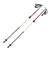 キザキ（KIZAKI）トレッキングポール ストック ペチカペアポール 110cm 2本セット KTAI-110PI WIN 登山