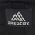 グレゴリー（GREGORY）ポーチ バッグ 0.57L クイックパデッドケースM 1351381041 ブラック 小物入れ W10×H18×D4
