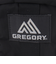 グレゴリー（GREGORY）ポーチ バッグ 0.57L クイックパデッドケースM 1351381041 ブラック 小物入れ W10×H18×D4