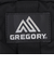 グレゴリー（GREGORY）ポーチ バッグ 0.3L クイックパデッドケースS 1351411041 ブラック 小物入れ W9×H16.5×D3