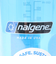 ナルゲン（nalgene）広口 1.0L Tritan Renew ウォーターボトル 91632 ブルー