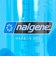 ナルゲン（nalgene）水筒 広口 1.5L Tritan Renew ウォーターボトル 91661 ブルー