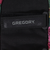グレゴリー（GREGORY）サングラスケース SUNGLASS CASE 655150511 ガーデンタペストリー