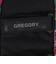 グレゴリー（GREGORY）サングラスケース SUNGLASS CASE 655150511 ガーデンタペストリー
