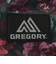 グレゴリー（GREGORY）バッグ リュック バックパック スクールデイ 1444349867 ラスティータペストリー 16L
