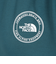ザ・ノース・フェイス（THE NORTH FACE）長袖Tシャツ ロンT シンプル ロゴ NT82336X AE グリーン
