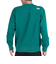 ザ・ノース・フェイス（THE NORTH FACE）スウェット トレーナー 長袖 ロゴクルーネック NT62335X AE グリーン