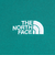 ザ・ノース・フェイス（THE NORTH FACE）スウェット トレーナー 長袖 ロゴクルーネック NT62335X AE グリーン